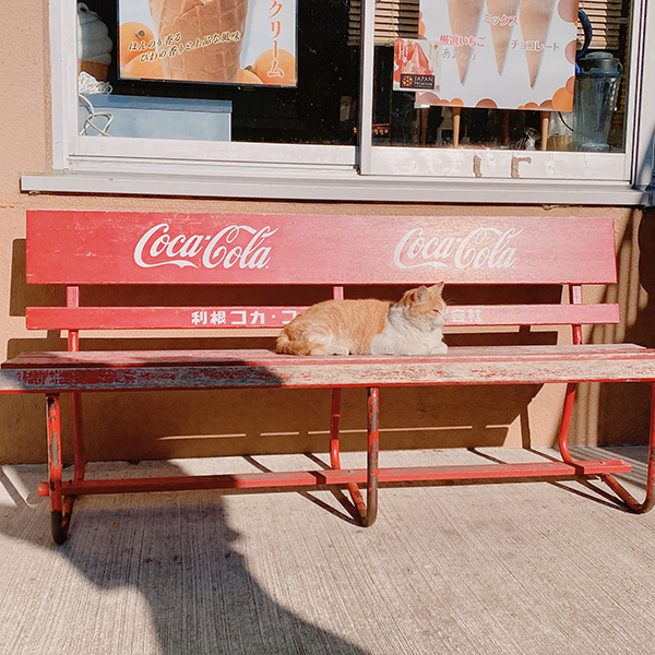 2022年度 千葉版 ガチャピンズラリー達成者