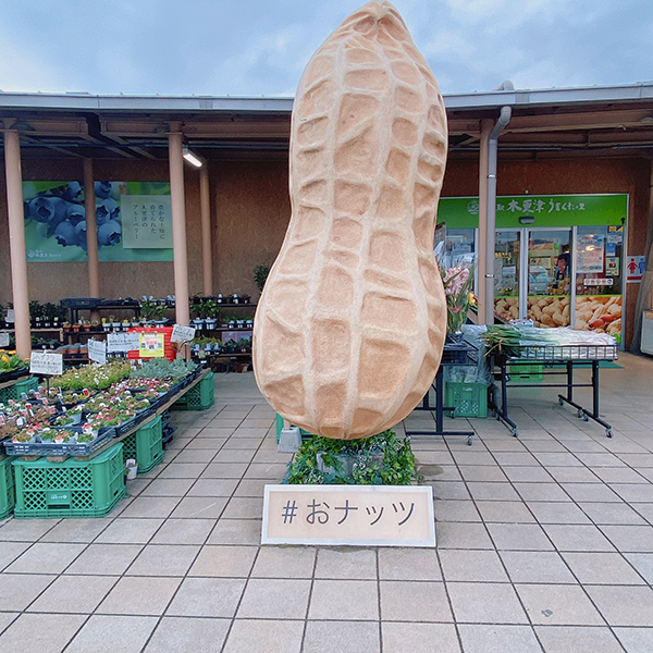 2022年度 千葉版 ガチャピンズラリー達成者