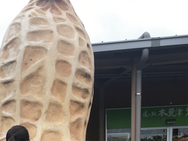 2022年度 千葉版 ガチャピンズラリー達成者