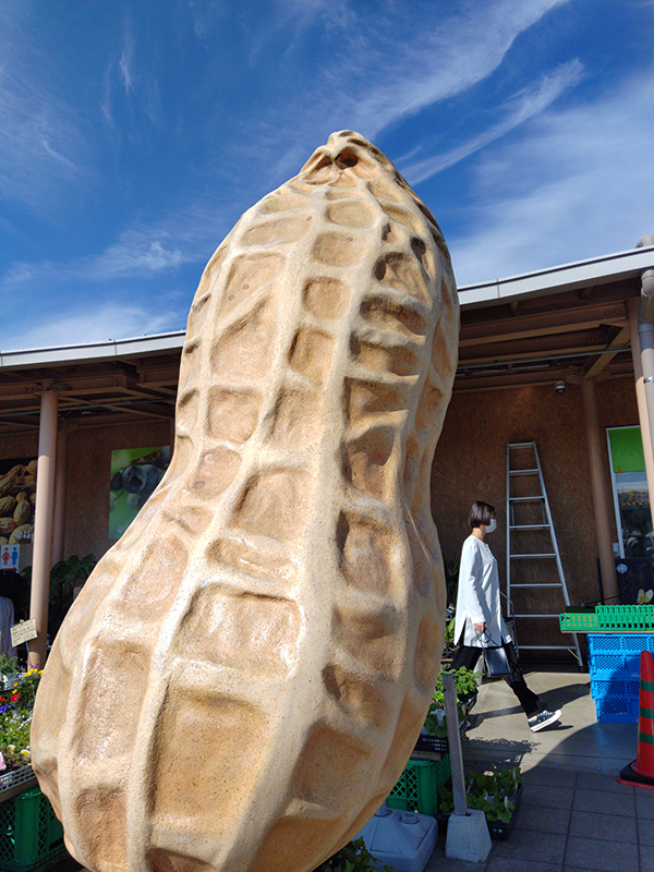 2022年度 千葉版 ガチャピンズラリー達成者