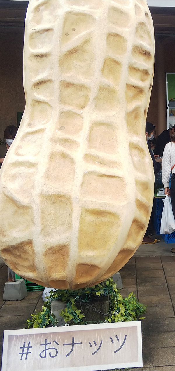 2022年度 千葉版 ガチャピンズラリー達成者