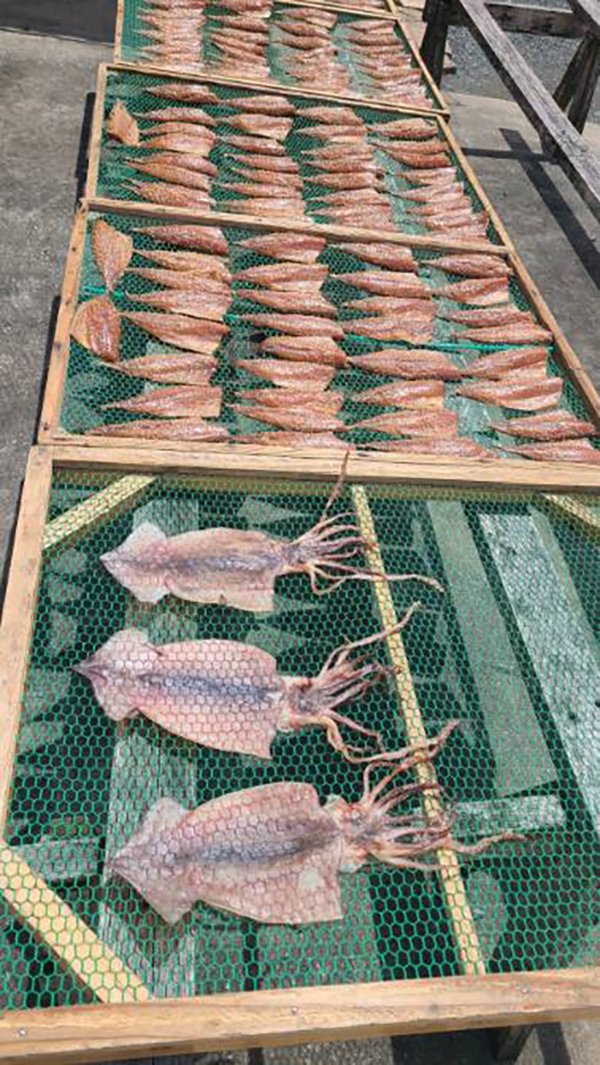 2022年度 千葉版 ガチャピンズラリー達成者