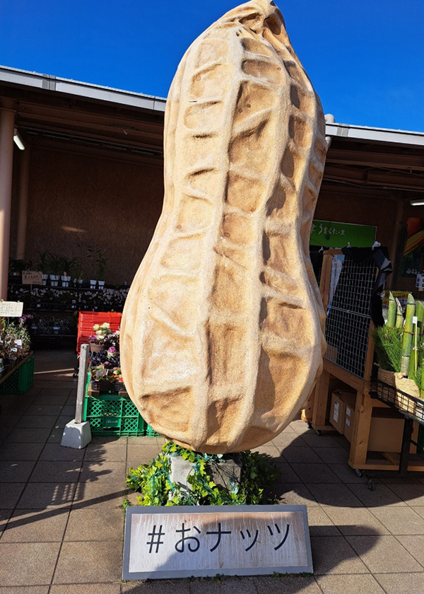 2022年度 千葉版 ガチャピンズラリー達成者