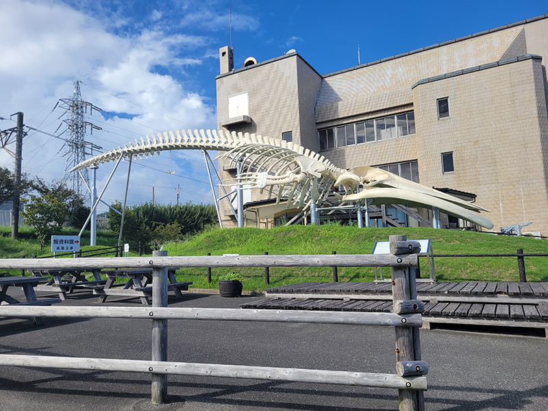 2024年度 千葉版ガチャピンズラリー達成者