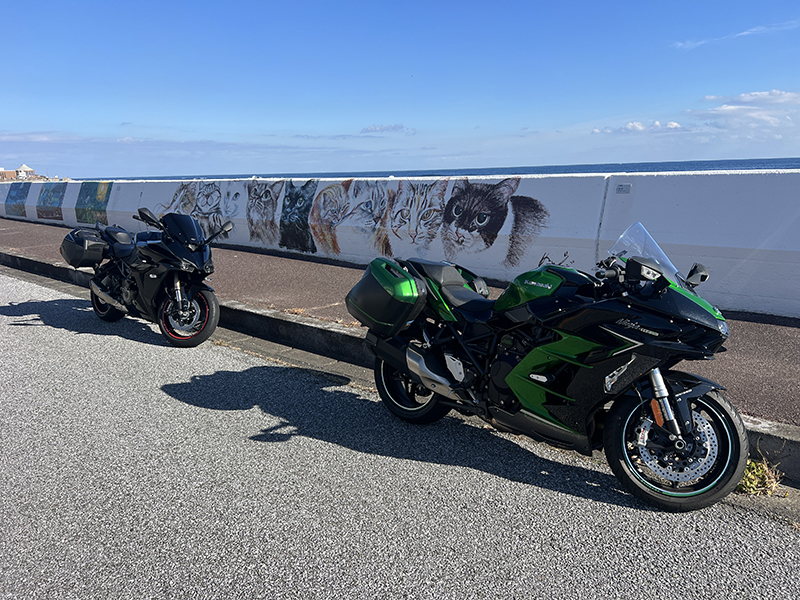 2024年度 千葉版ガチャピンズラリー達成者