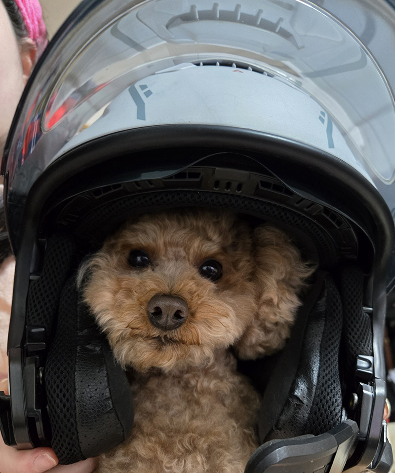 2024年度 千葉版ガチャピンズラリー達成者