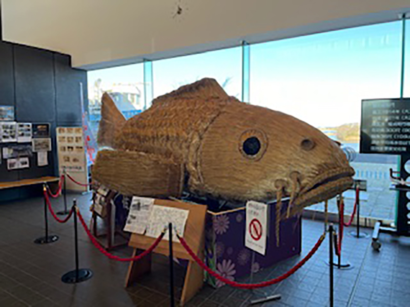 2024年度 千葉版ガチャピンズラリー達成者