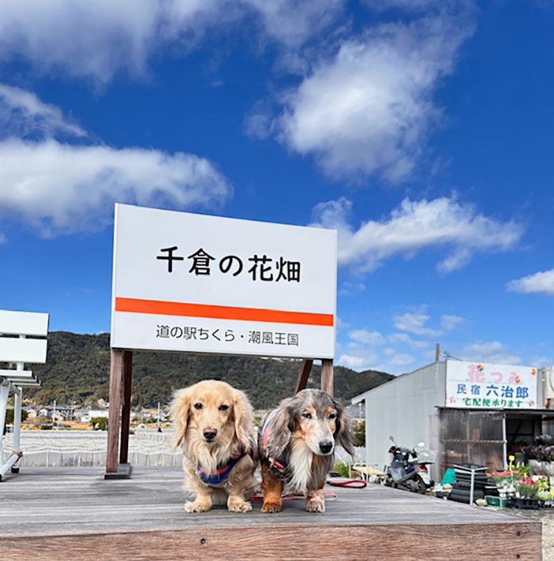 2024年度 千葉版ガチャピンズラリー達成者