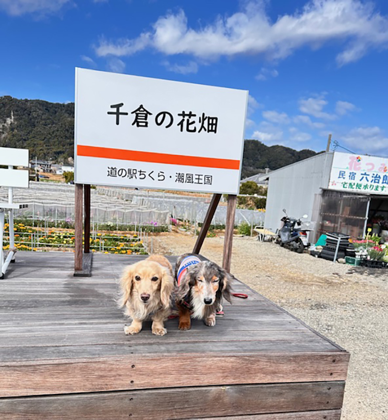 2024年度 千葉版ガチャピンズラリー達成者