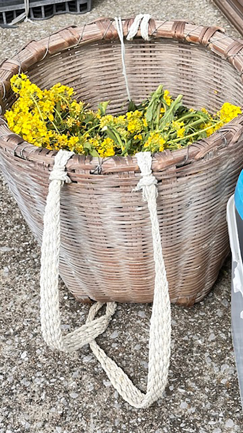 2024年度 千葉版ガチャピンズラリー達成者