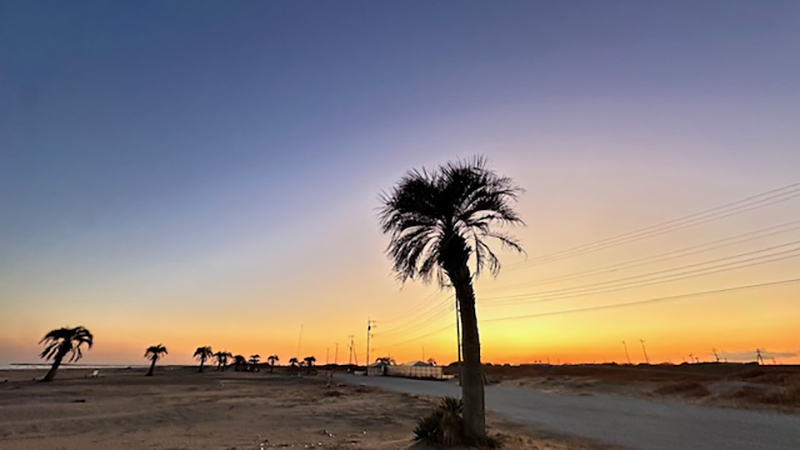 2024年度 千葉版ガチャピンズラリー達成者