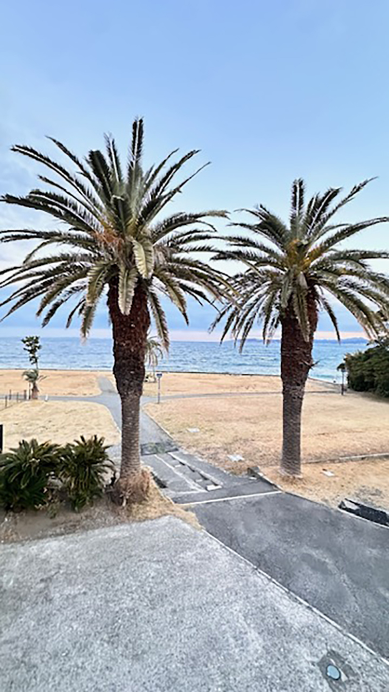 2024年度 千葉版ガチャピンズラリー達成者