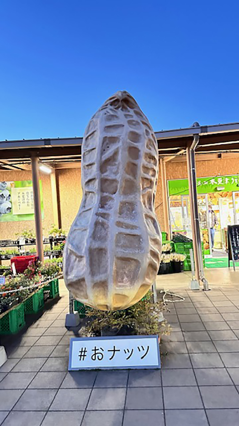 2024年度 千葉版ガチャピンズラリー達成者