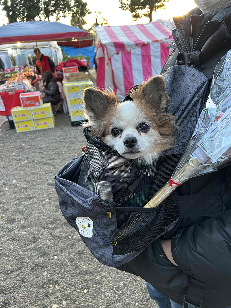 2024年度 千葉版ガチャピンズラリー達成者