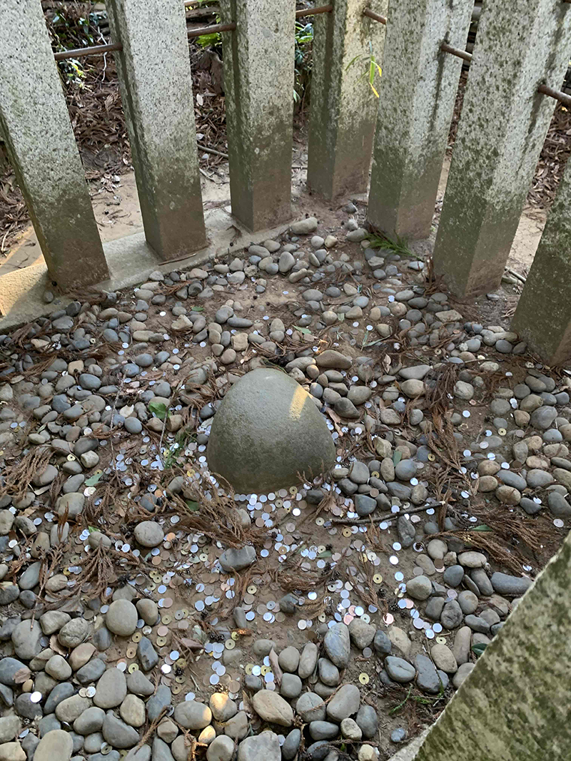 2024年度 千葉版ガチャピンズラリー達成者