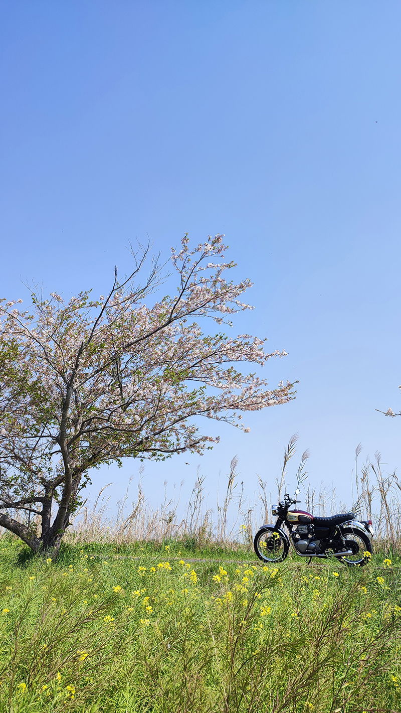 2024年度 千葉版ガチャピンズラリー達成者