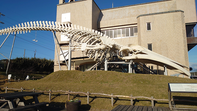 2024年度 千葉版ガチャピンズラリー達成者