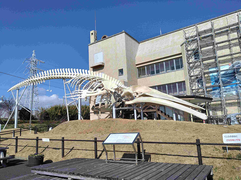 2024年度 千葉版ガチャピンズラリー達成者