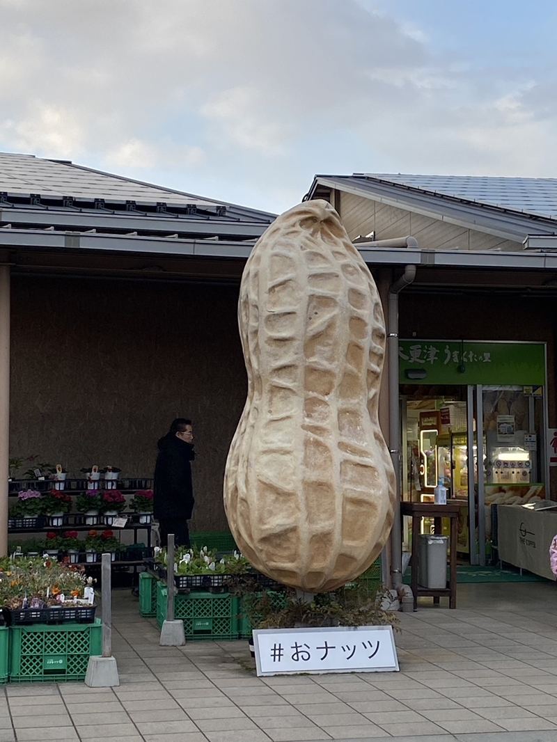 2024年度 千葉版ガチャピンズラリー達成者