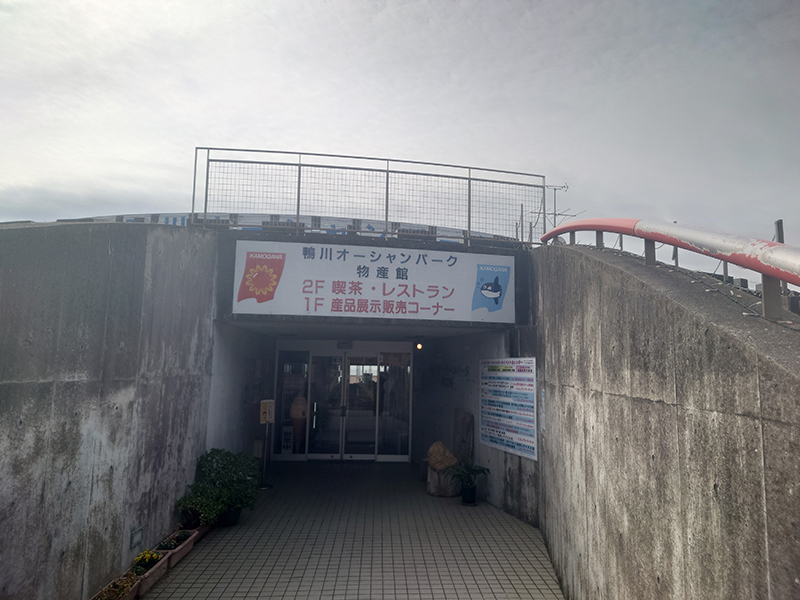 2024年度 千葉版ガチャピンズラリー達成者