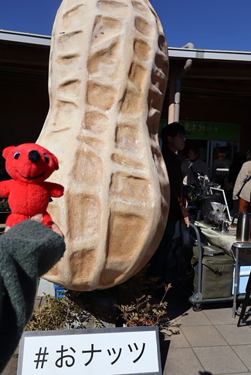 2024年度 千葉版ガチャピンズラリー達成者