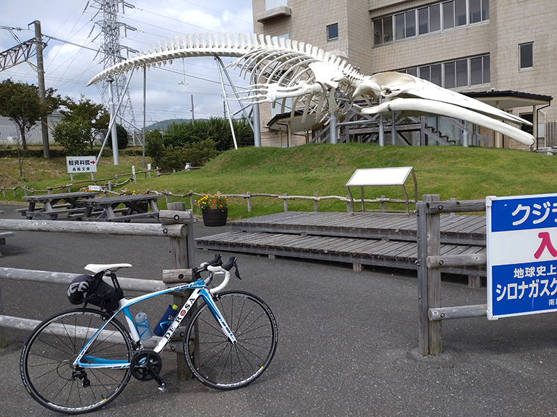 2024年度 千葉版ガチャピンズラリー達成者