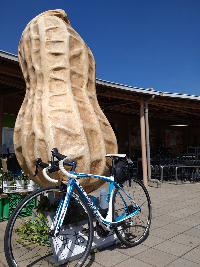 2024年度 千葉版ガチャピンズラリー達成者