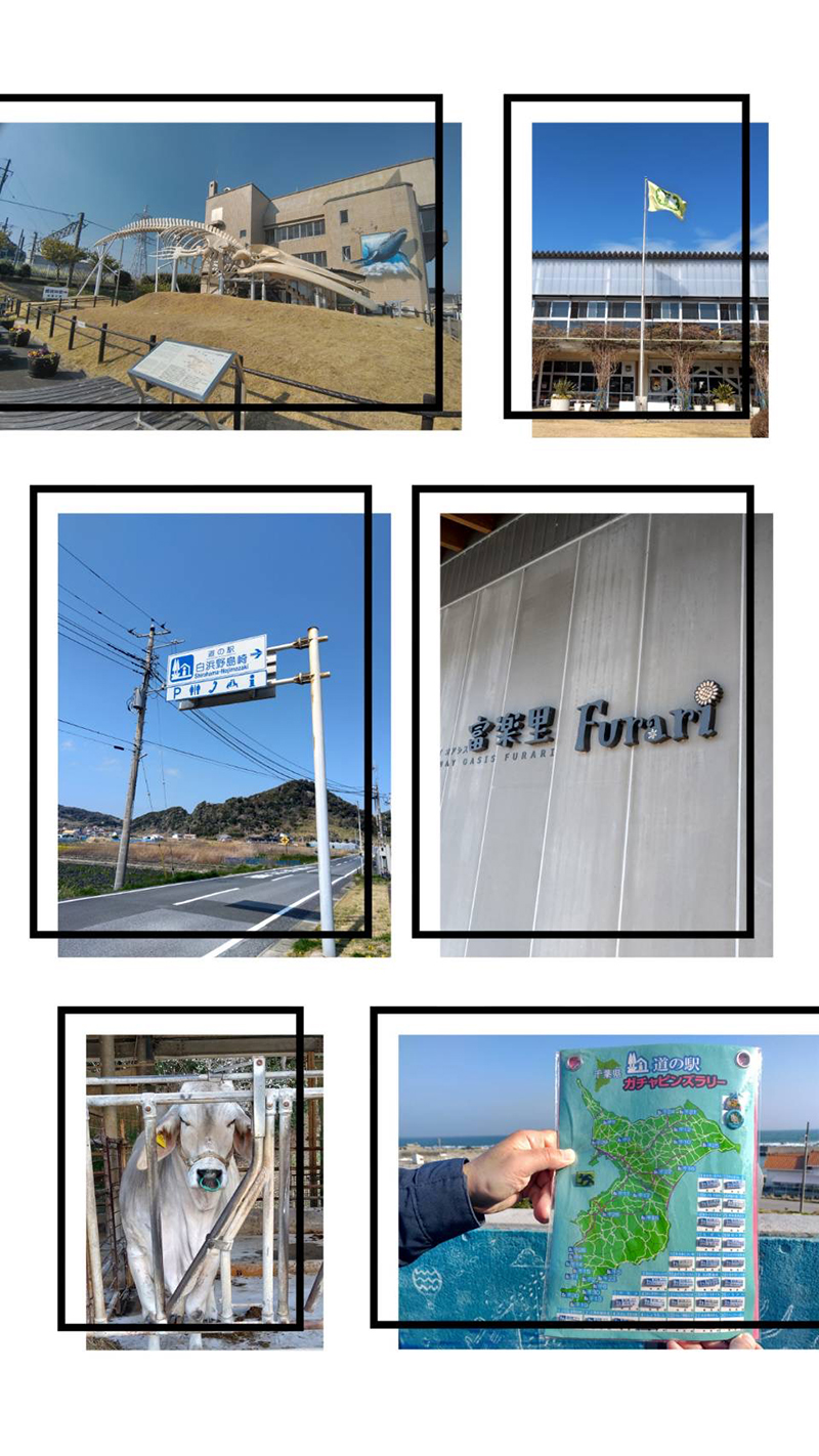 2024年度 千葉版ガチャピンズラリー達成者