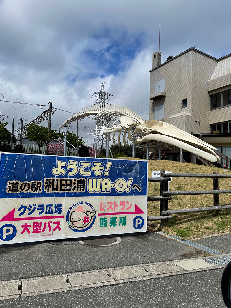 2025年度 千葉版 ガチャピンズラリー達成者