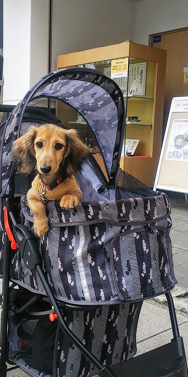 2025年度 千葉版 ガチャピンズラリー達成者