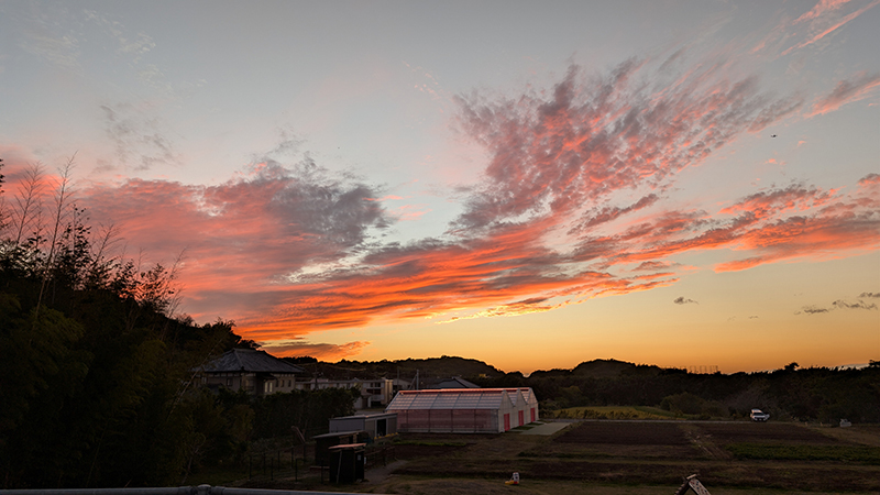 2025年度 千葉版 ガチャピンズラリー達成者