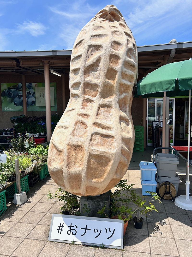 2025年度 千葉版 ガチャピンズラリー達成者