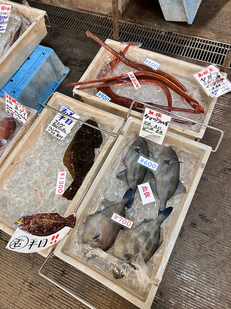 2025年度 千葉版 ガチャピンズラリー達成者