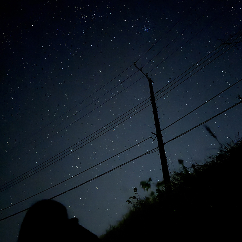 2025年度 千葉版 ガチャピンズラリー達成者