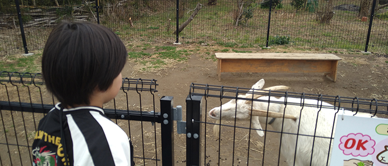 2025年度 千葉版 ガチャピンズラリー達成者