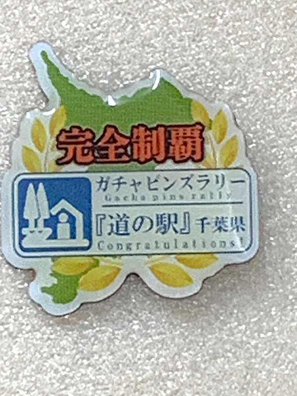 完全制覇記念品 完全制覇ピンズ
