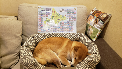 2018年度 121駅 ガチャピンズラリー達成者