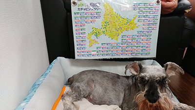 2018年度 121駅 ガチャピンズラリー達成者