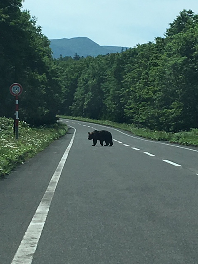 2018年度 121駅 ガチャピンズラリー達成者