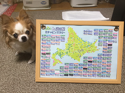 2018年度 121駅 ガチャピンズラリー達成者