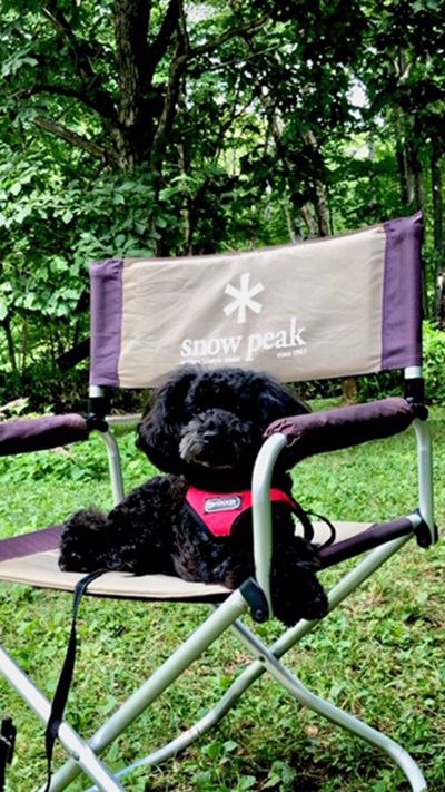 2018年度 121駅 ガチャピンズラリー達成者