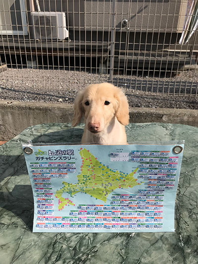 2018年度 121駅 ガチャピンズラリー達成者