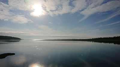 2018年度 121駅 ガチャピンズラリー達成者