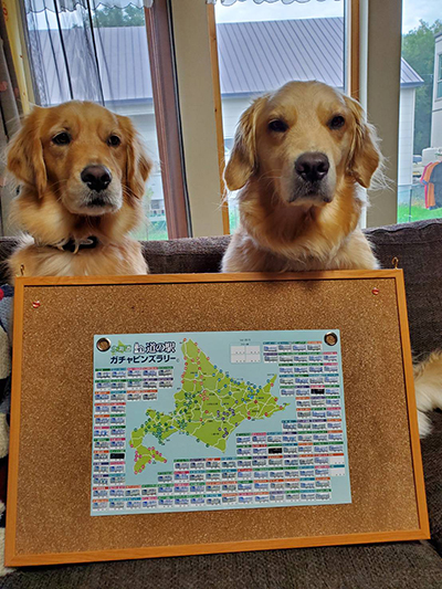 2019年度 124駅 ガチャピンズラリー達成者