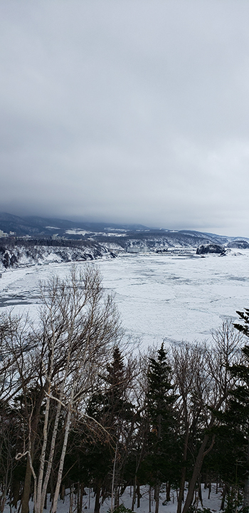 2019年度 124駅 ガチャピンズラリー達成者