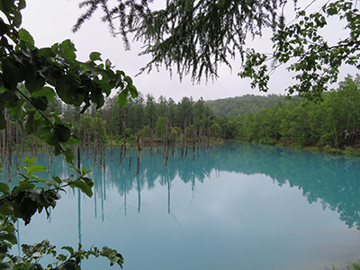 2019年度 124駅 ガチャピンズラリー達成者