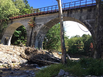 2019年度 124駅 ガチャピンズラリー達成者