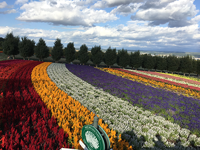 2019年度 124駅 ガチャピンズラリー達成者