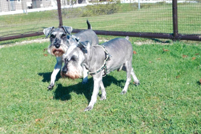 2019年度 124駅 ガチャピンズラリー達成者