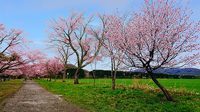 2019年度 124駅 ガチャピンズラリー達成者
